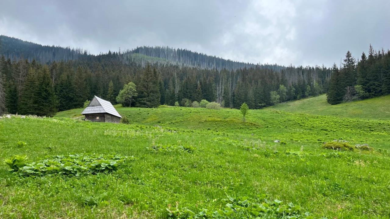 Готель Na Dolinie Буковина Татранська Екстер'єр фото