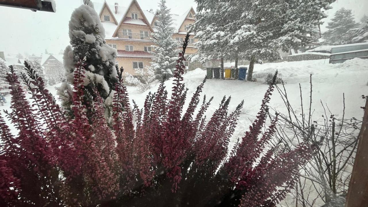 Готель Na Dolinie Буковина Татранська Екстер'єр фото